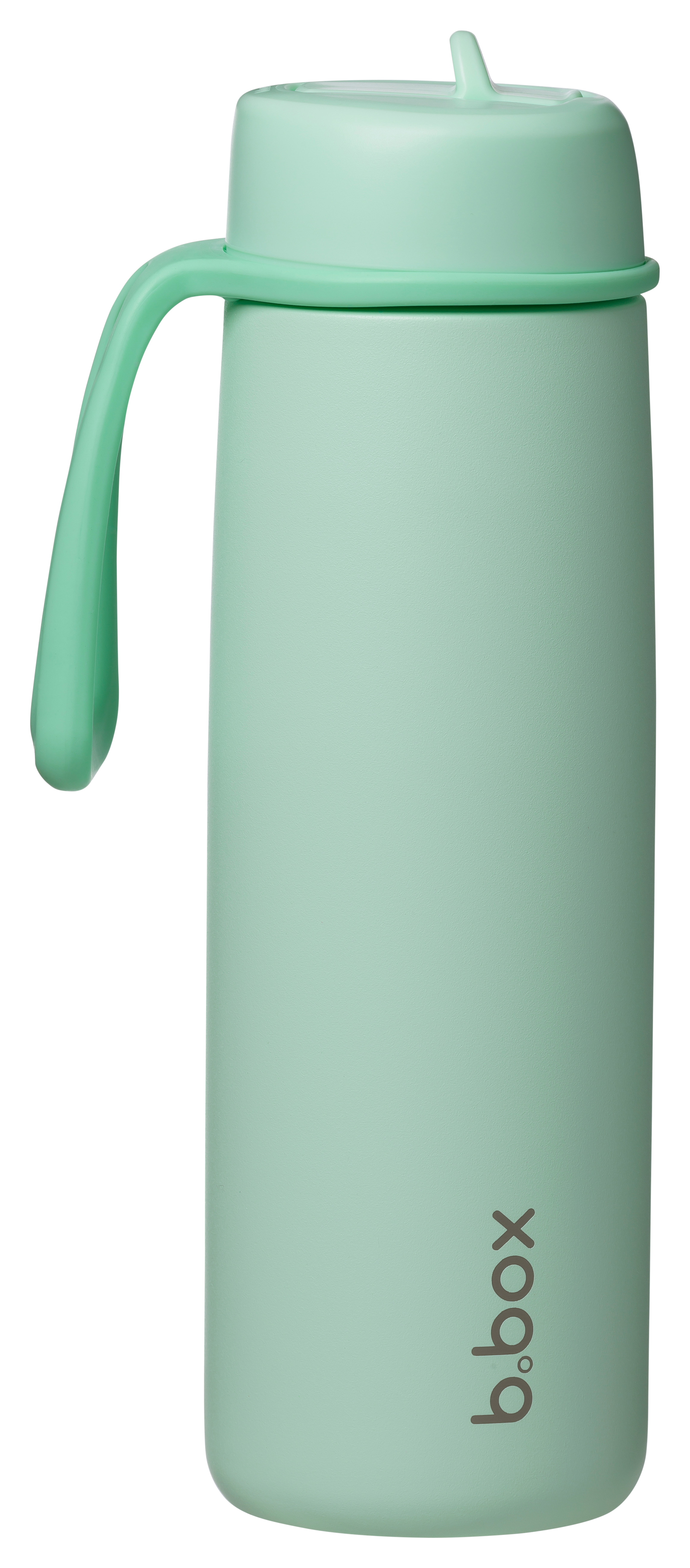 690mL Insulated Flip Top Bottle - spearmint