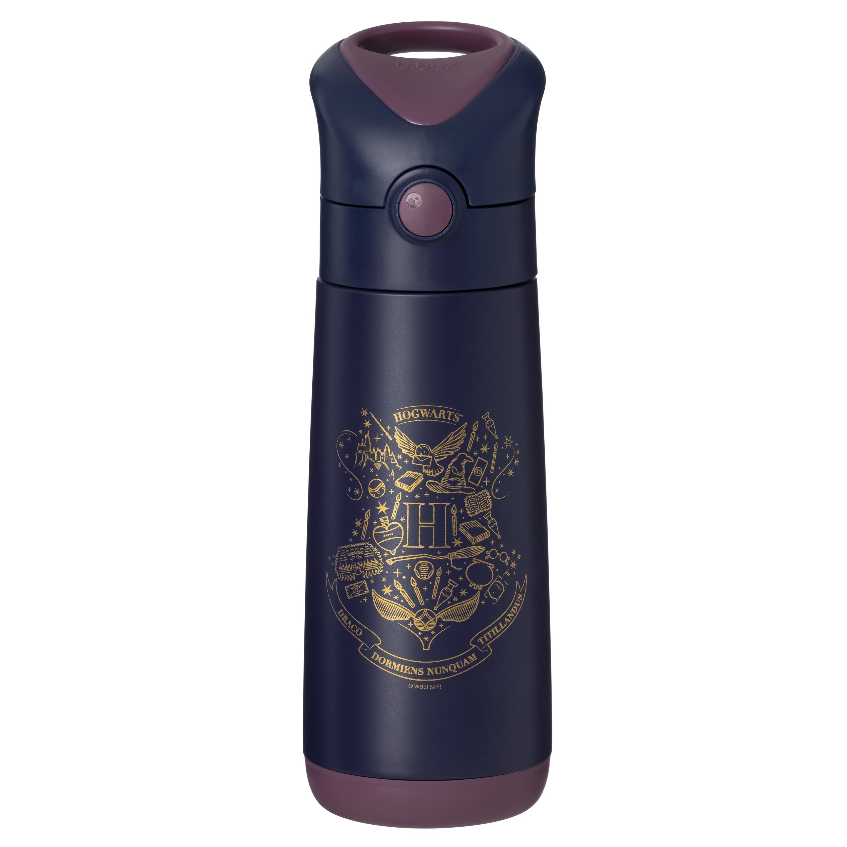 500ml Insulated Drink Bottle - Harry Potter