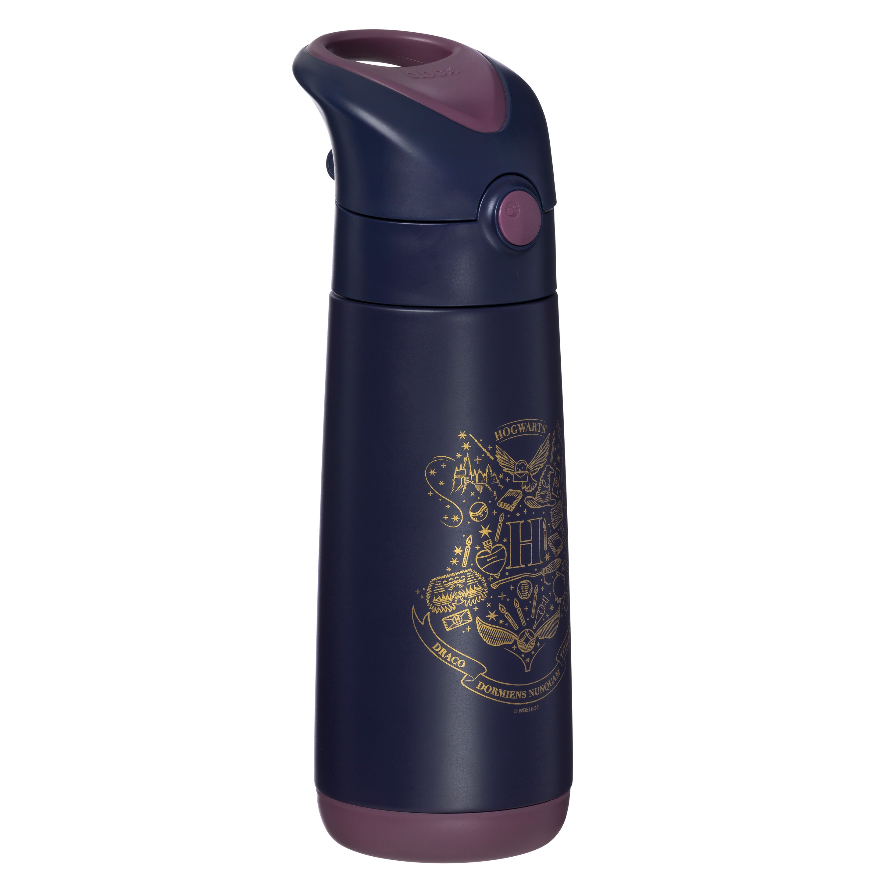 500ml Insulated Drink Bottle - Harry Potter