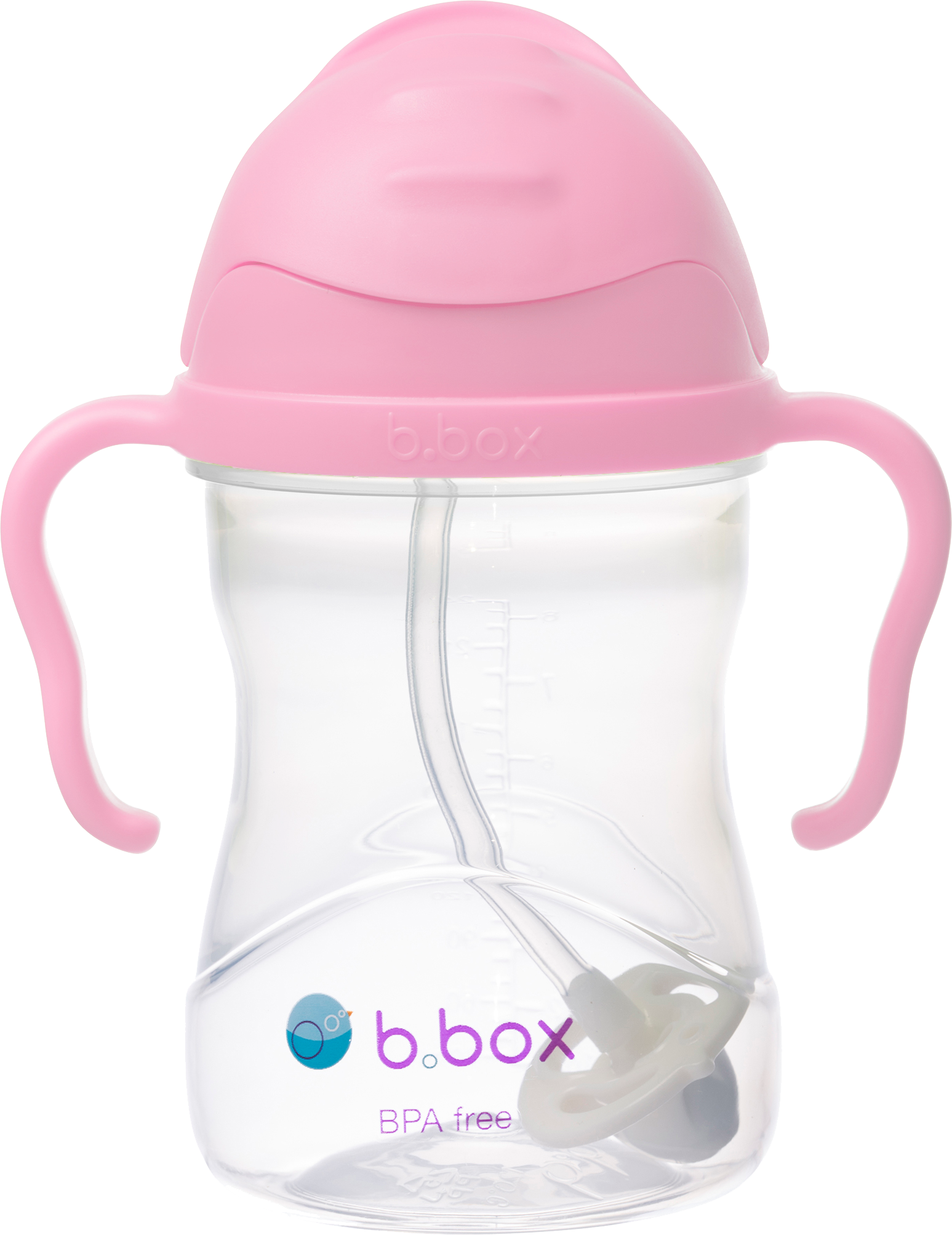 Sippy Cup - cherry blossom