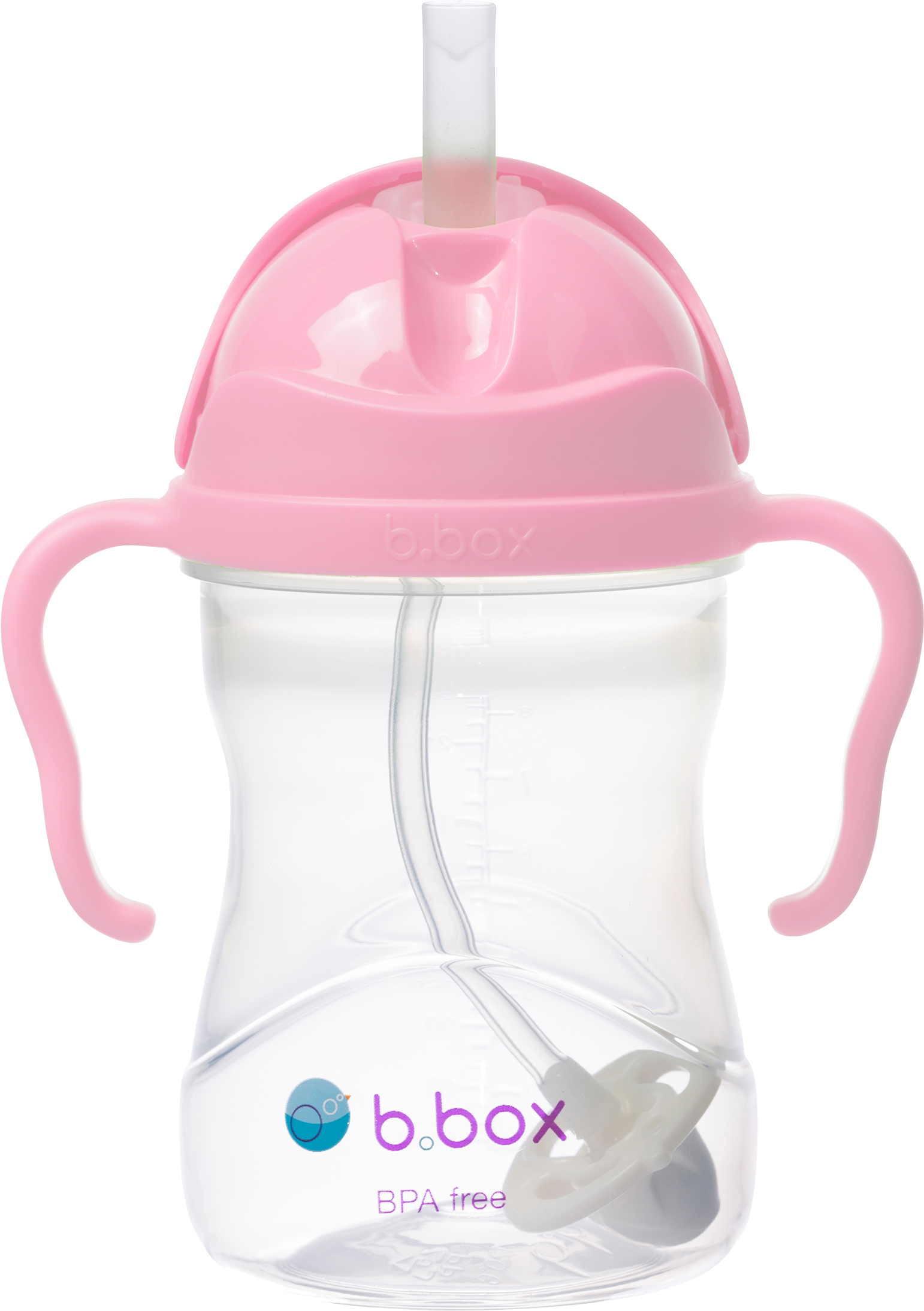 Sippy Cup - cherry blossom